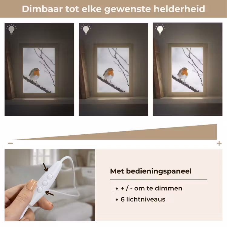Roodborstje - Tak - Sneeuw - Winter - Levendig Light Box met kabel (Tafellamp) klein -USP_dimbaarNL