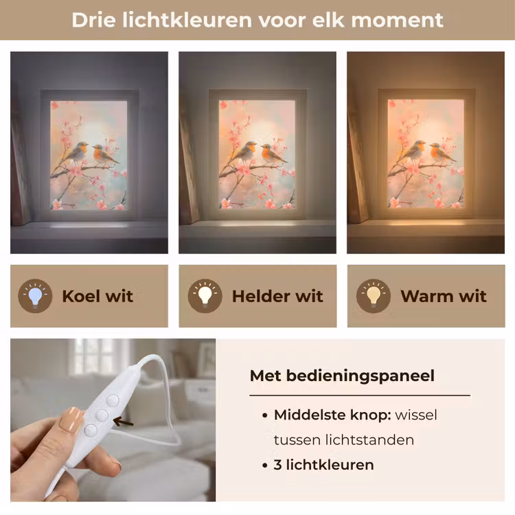 Roodborstjes - Sierlijk - Bloesemtak Light Box met kabel (Tafellamp) klein -USP_lichtkleurNL