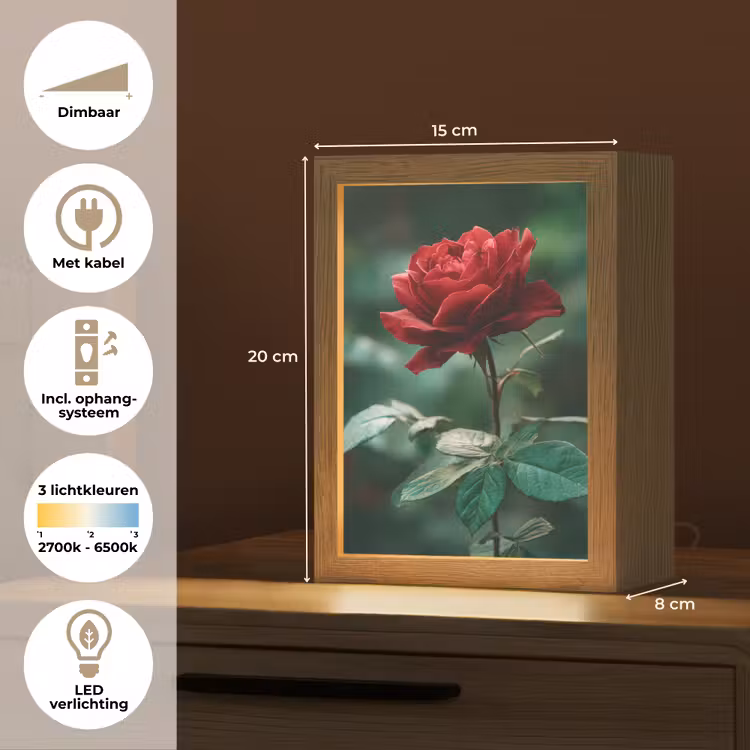 Roos - Bladeren - Dieprood Light Box met kabel (Tafellamp) klein -USP_NL