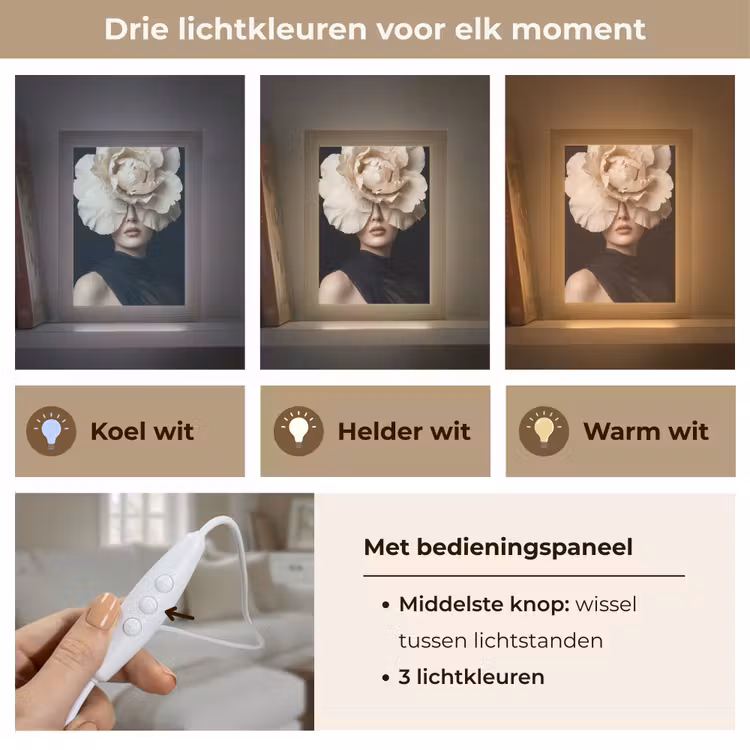 Roos - Tijdloos - Zwart Light Box met kabel (Tafellamp) klein -USP_lichtkleurNL