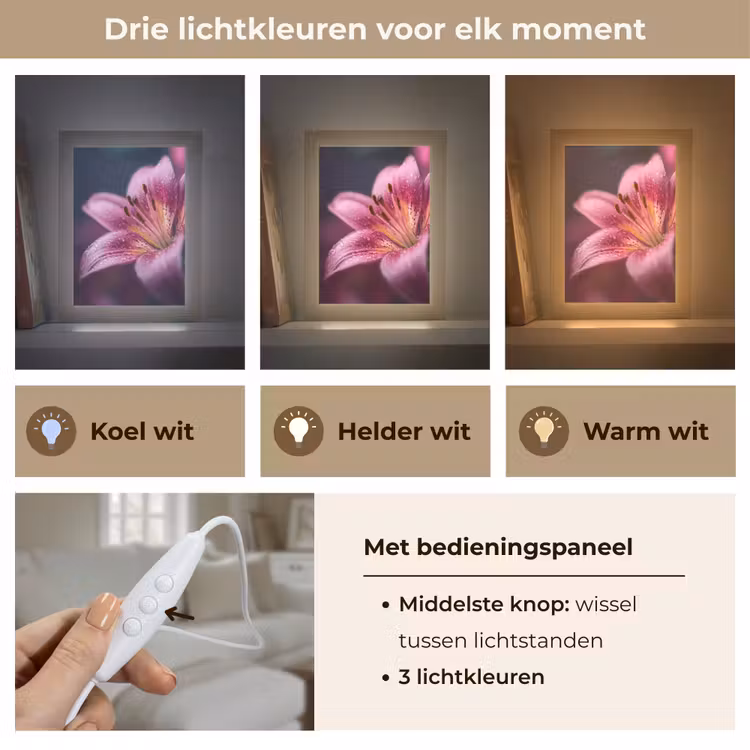 Roze - lelie - Dauwdruppels Light Box met kabel (Tafellamp) klein -USP_lichtkleurNL