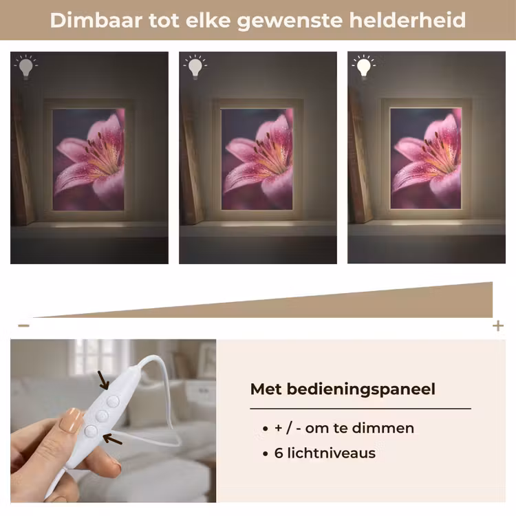 Roze - lelie - Dauwdruppels Light Box met kabel (Tafellamp) klein -USP_dimbaarNL