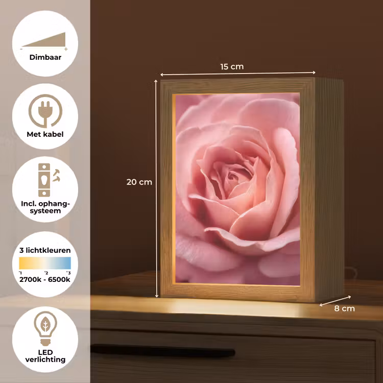 Roze - Roos - Romantisch Light Box met kabel (Tafellamp) klein -USP_NL