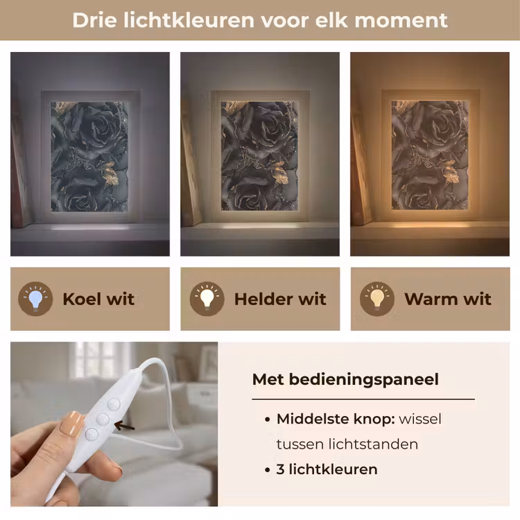 Rozen - Zwart - Bloemen - Goud Light Box met kabel (Tafellamp) klein -USP_lichtkleurNL