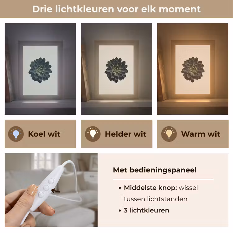 Rozet - Cirkelvormig - Donkergroen Light Box met kabel (Tafellamp) klein -USP_lichtkleurNL