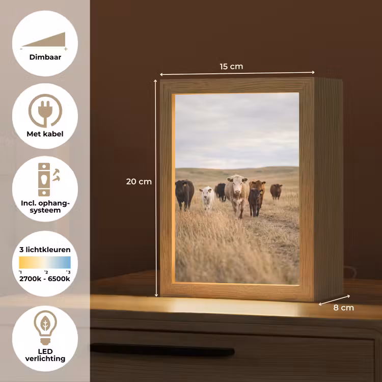 Runderen - Kudde - Landschap - Weide - Rustig Light Box met kabel (Tafellamp) klein -USP_NL