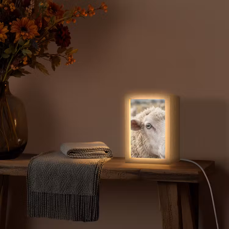 Schaap - Oog - Wit Light Box met kabel (Tafellamp) klein -sfeer4