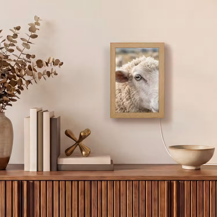 Schaap - Oog - Wit Light Box met kabel (Tafellamp) klein -sfeer2