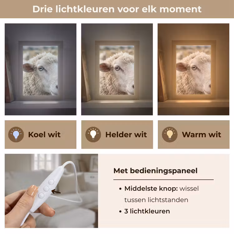 Schaap - Oog - Wit Light Box met kabel (Tafellamp) klein -USP_lichtkleurNL