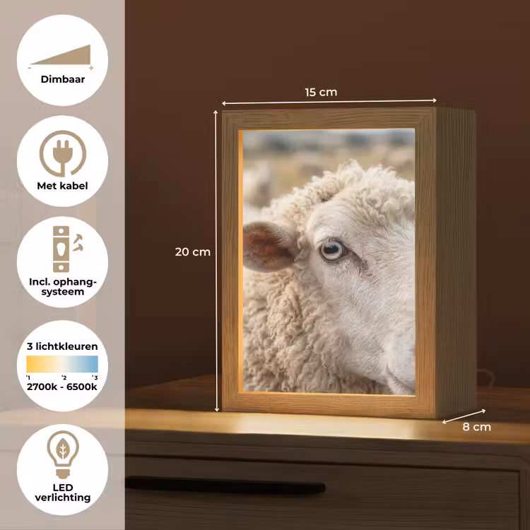 Schaap - Oog - Wit Light Box met kabel (Tafellamp) klein -USP_NL