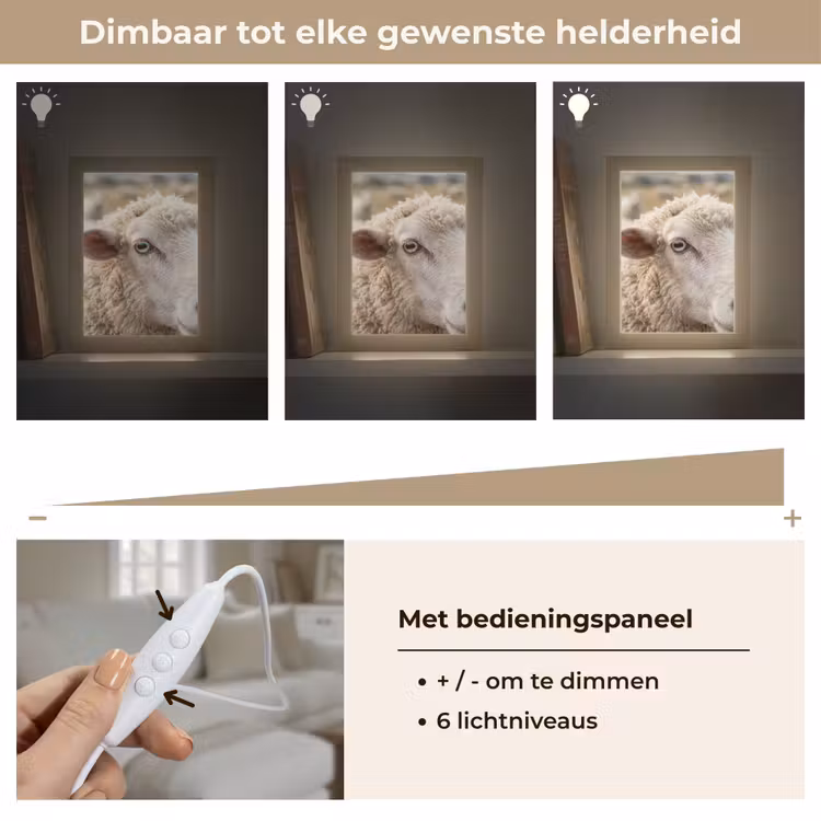 Schaap - Oog - Wit Light Box met kabel (Tafellamp) klein -USP_dimbaarNL