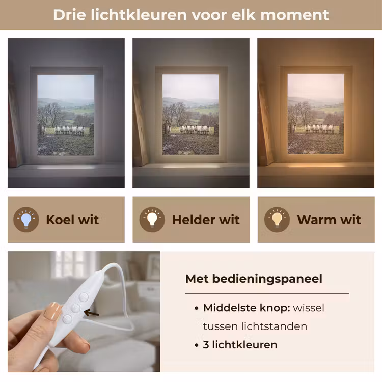 Schapen - Rij - Weide - Dieren - Platteland Light Box met kabel (Tafellamp) klein -USP_lichtkleurNL