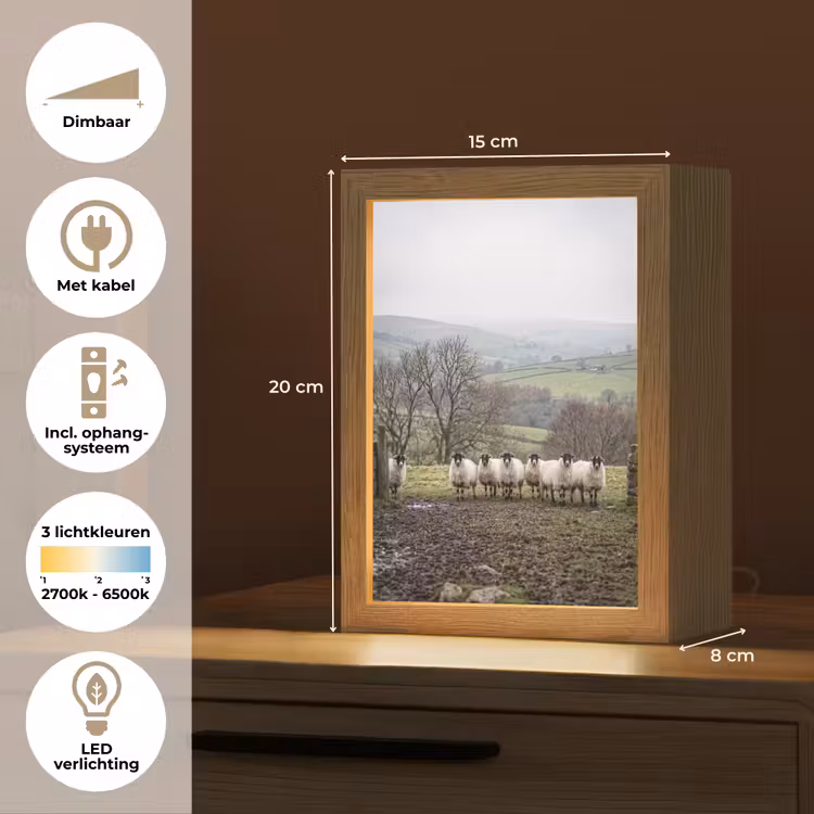 Schapen - Rij - Weide - Dieren - Platteland Light Box met kabel (Tafellamp) klein -USP_NL