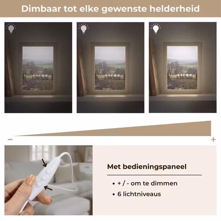 Schapen - Rij - Weide - Dieren - Platteland Light Box met kabel (Tafellamp) klein -USP_dimbaarNL