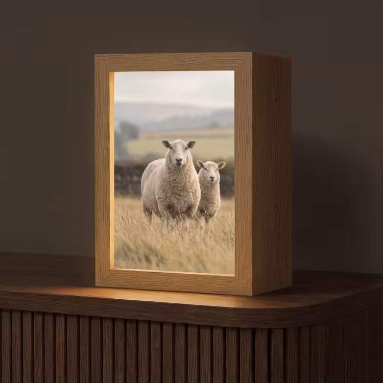 Schapen - Weidenlandschap - Heuvels Light Box met kabel (Tafellamp) klein -z3d_website