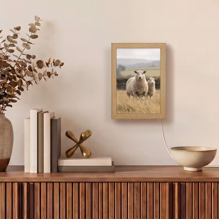 Schapen - Weidenlandschap - Heuvels Light Box met kabel (Tafellamp) klein -sfeer2
