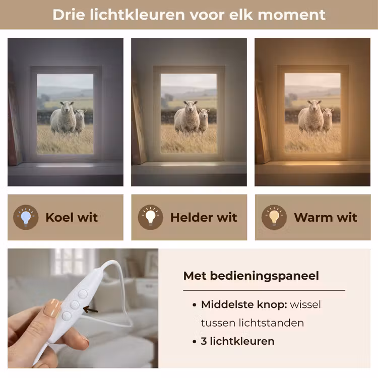 Schapen - Weidenlandschap - Heuvels Light Box met kabel (Tafellamp) klein -USP_lichtkleurNL