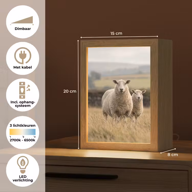 Schapen - Weidenlandschap - Heuvels Light Box met kabel (Tafellamp) klein -USP_NL