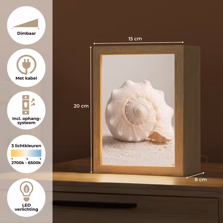 Schelp - Detail - Beige Light Box met kabel (Tafellamp) klein -USP_NL