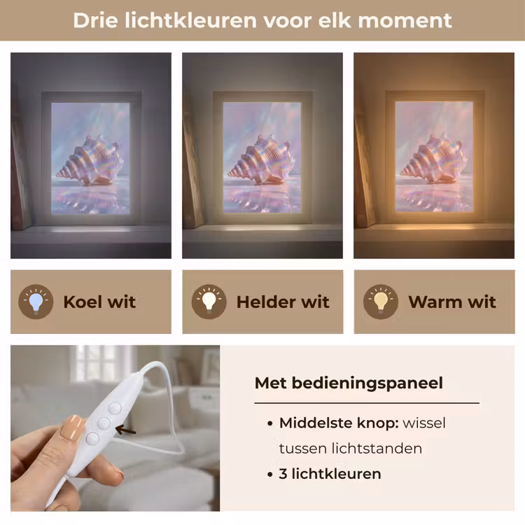 Schelp - Glanzend - Regenboogtinten Light Box met kabel (Tafellamp) klein -USP_lichtkleurNL
