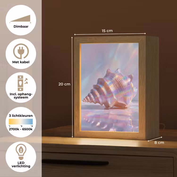 Schelp - Glanzend - Regenboogtinten Light Box met kabel (Tafellamp) klein -USP_NL