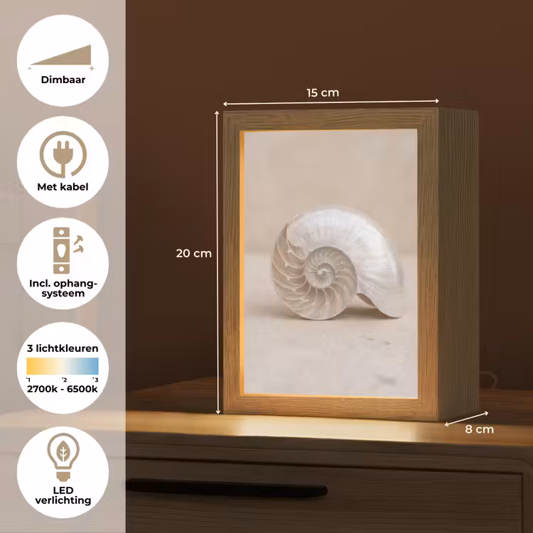 Schelp - Spiraal - Beige Light Box met kabel (Tafellamp) klein -USP_NL