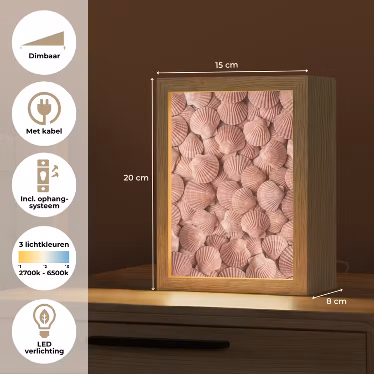 Schelpen - Patroon - Roze Light Box met kabel (Tafellamp) klein -USP_NL