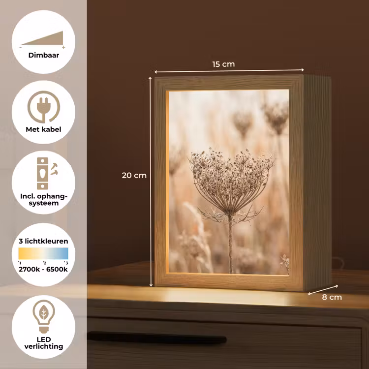 Schermbloem - Droogbloem - Winter - Beige - Minimalistisch Light Box met kabel (Tafellamp) klein -USP_NL