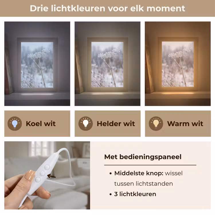 Schermbloem - Rijp - Kristallen - Winter - Delicaat Light Box met kabel (Tafellamp) klein -USP_lichtkleurNL