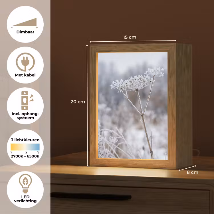 Schermbloem - Rijp - Kristallen - Winter - Delicaat Light Box met kabel (Tafellamp) klein -USP_NL