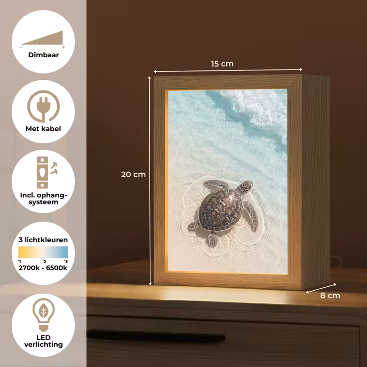 Schildpad - Helder water - Strand - Dieren - Natuur Light Box met kabel (Tafellamp) klein -USP_NL