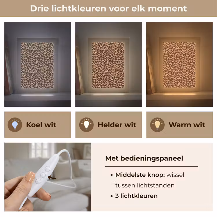 Schildpad - Patroon - Bruin Light Box met kabel (Tafellamp) klein 925 -USP_lichtkleurNL