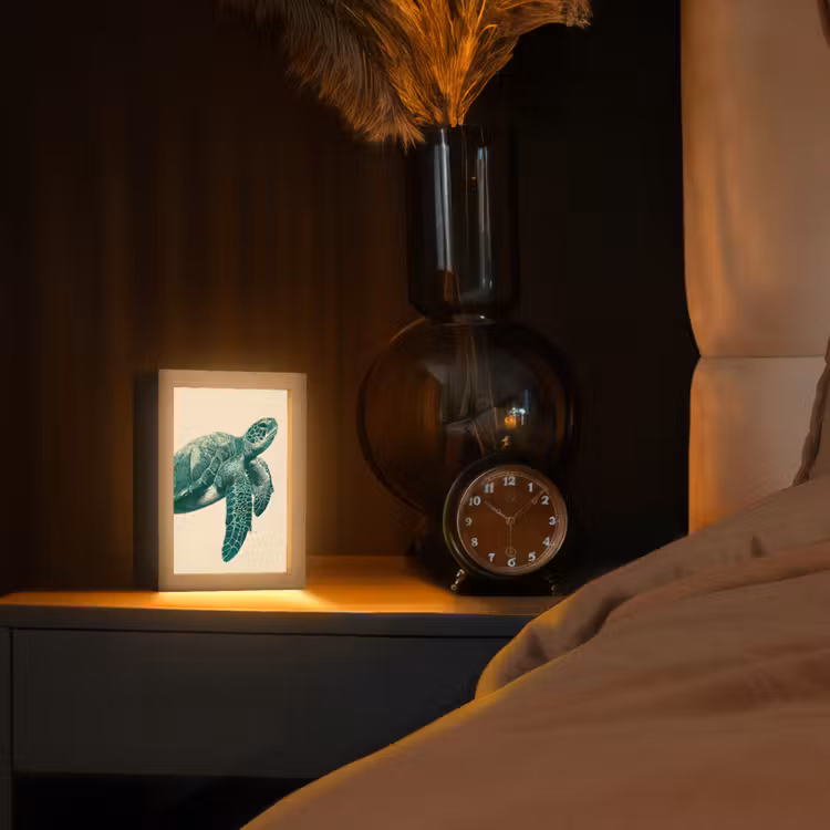 Schildpad - Sierlijk - Groen - Schild Light Box met kabel (Tafellamp) klein -sfeer1