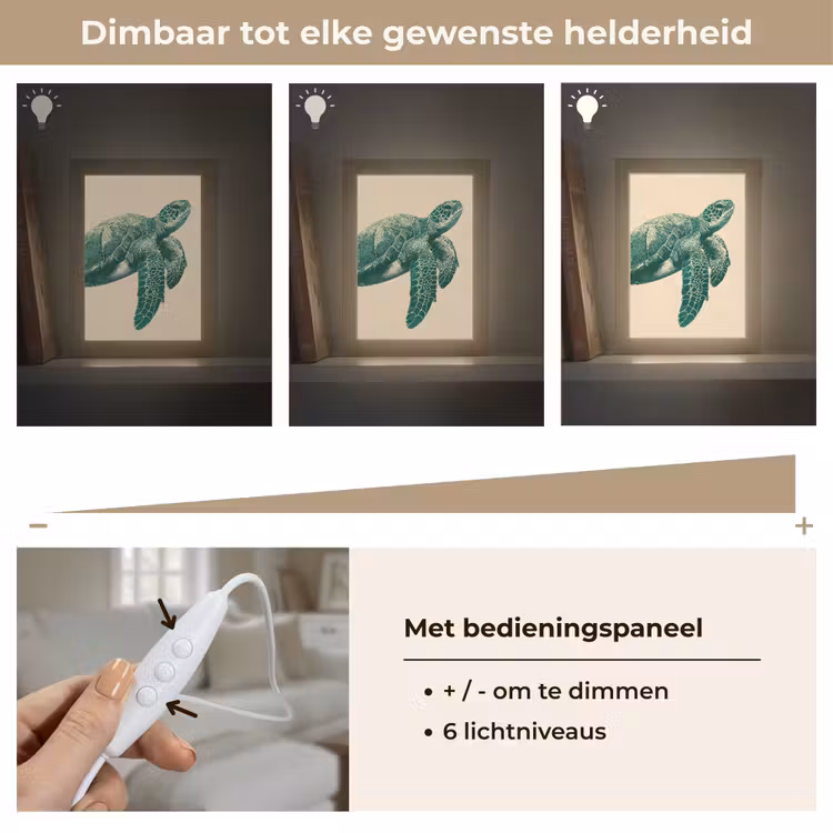 Schildpad - Sierlijk - Groen - Schild Light Box met kabel (Tafellamp) klein -USP_dimbaarNL