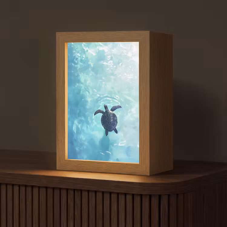 Schildpad - Zee - Blauw - Schittering Light Box met kabel (Tafellamp) klein -z3d_website