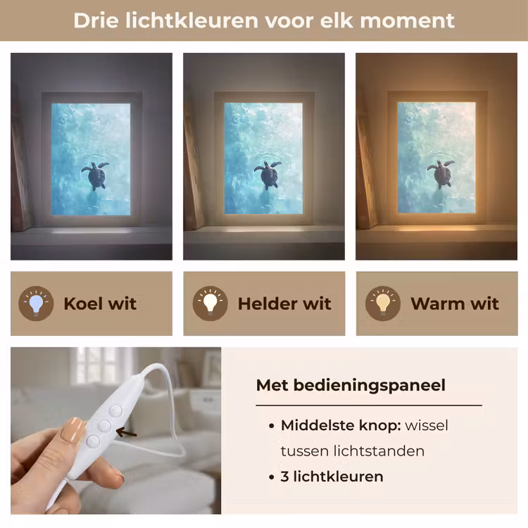 Schildpad - Zee - Blauw - Schittering Light Box met kabel (Tafellamp) klein -USP_lichtkleurNL
