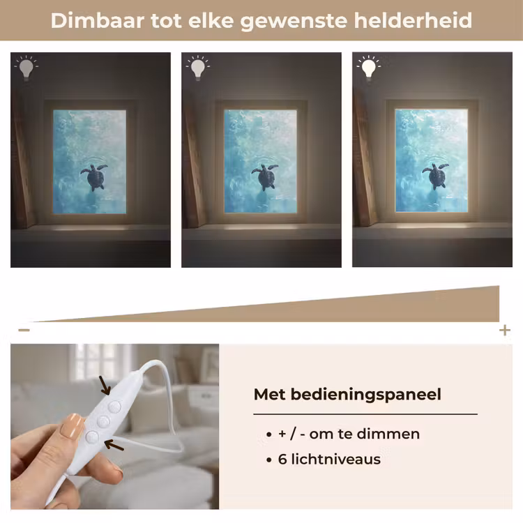 Schildpad - Zee - Blauw - Schittering Light Box met kabel (Tafellamp) klein -USP_dimbaarNL