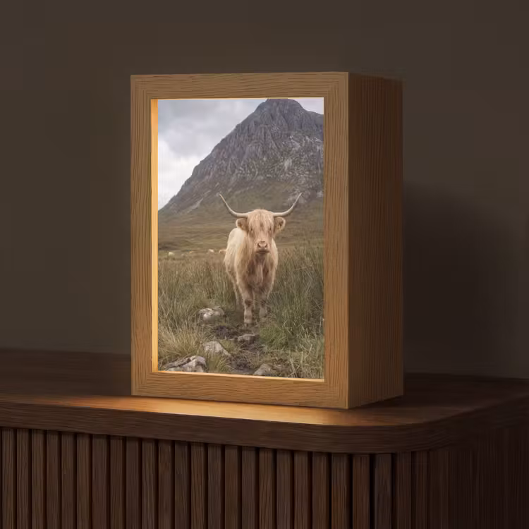 Schotse hooglander - Bergen - Grasveld Light Box met kabel (Tafellamp) klein -z3d_website