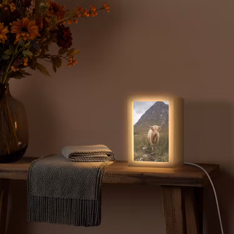 Schotse hooglander - Bergen - Grasveld Light Box met kabel (Tafellamp) klein -sfeer4