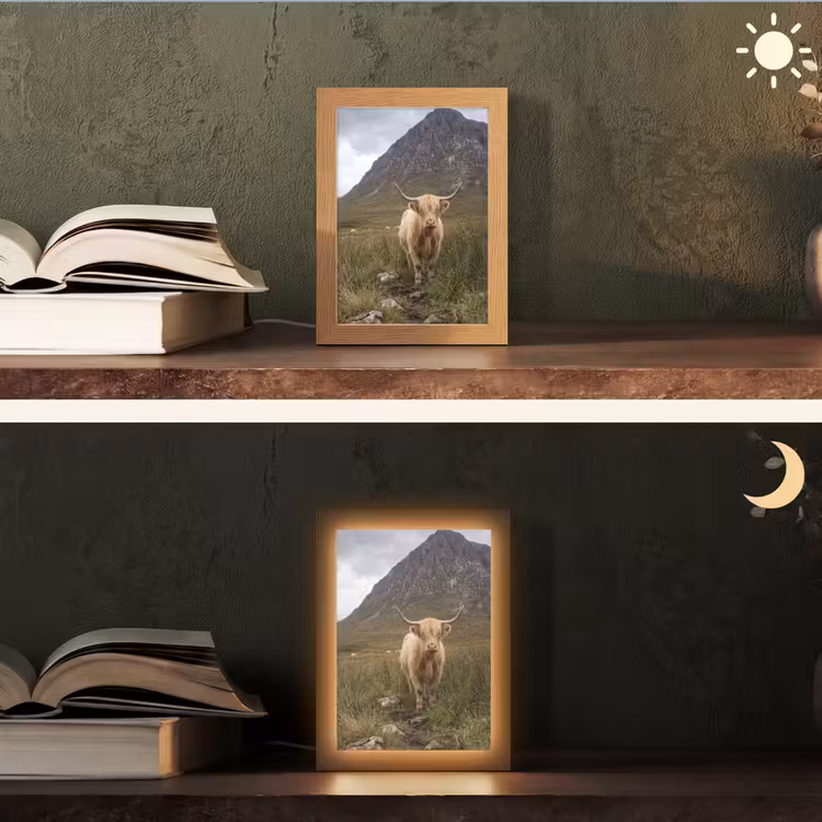 Schotse hooglander - Bergen - Grasveld Light Box met kabel (Tafellamp) klein -sfeer3