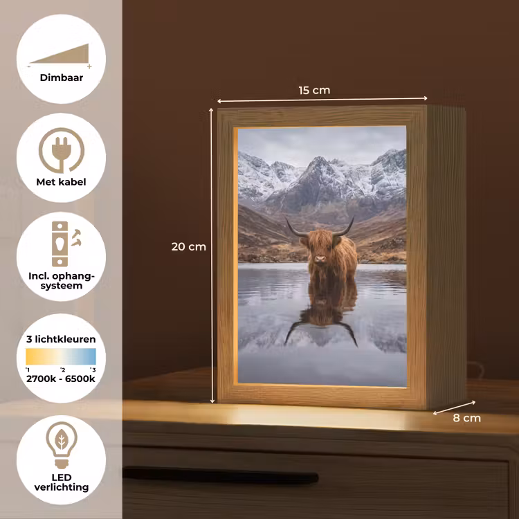 Schotse hooglander - Bruin - Water Light Box met kabel (Tafellamp) klein -USP_NL