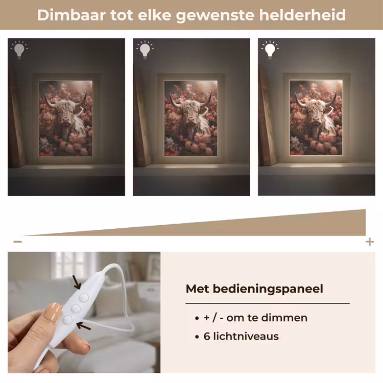 Schotse hooglander - Dier - Natuur - Bloemen - Botanisch Light Box met kabel (Tafellamp) klein -USP_dimbaarNL