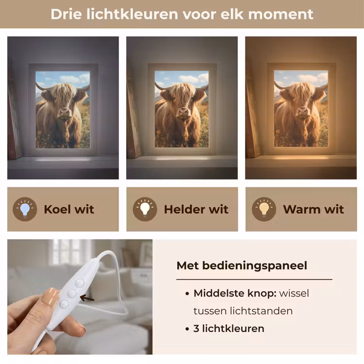 Schotse hooglander - Dieren portret - Natuur - Dier Light Box met kabel (Tafellamp) klein -USP_lichtkleurNL