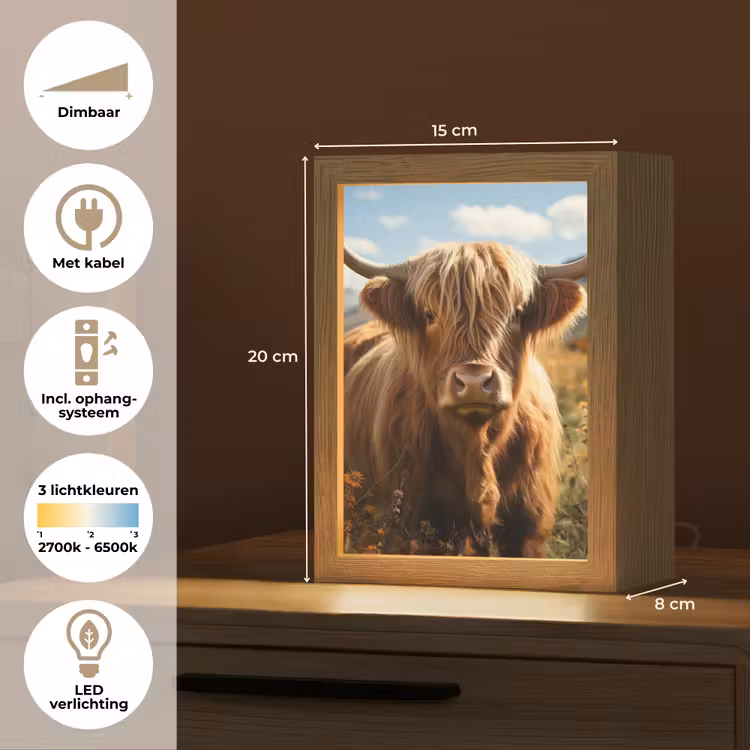 Schotse hooglander - Dieren portret - Natuur - Dier Light Box met kabel (Tafellamp) klein -USP_NL