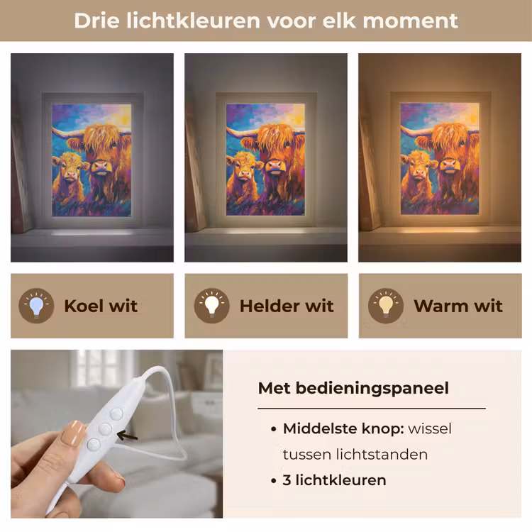 Schotse hooglander - Koeien - Dieren - Kunst Light Box met kabel (Tafellamp) klein -USP_lichtkleurNL