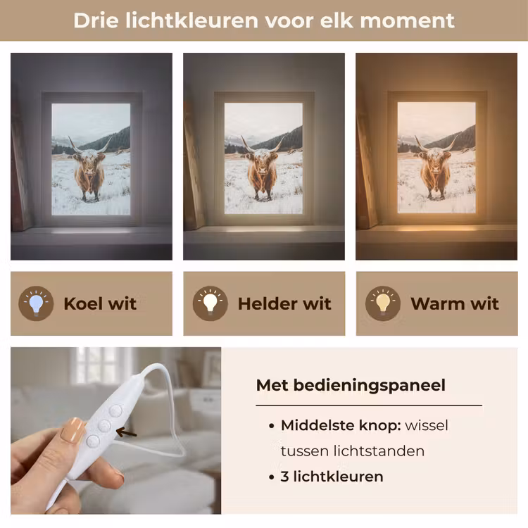 Schotse Hooglander - Landschap - Sneeuw - Bergen - Winter Light Box met kabel (Tafellamp) klein -USP_lichtkleurNL