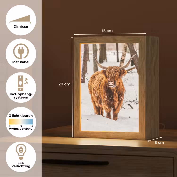 Schotse Hooglander - Sneeuw - Winter - Natuur - Dieren Light Box met kabel (Tafellamp) klein -USP_NL