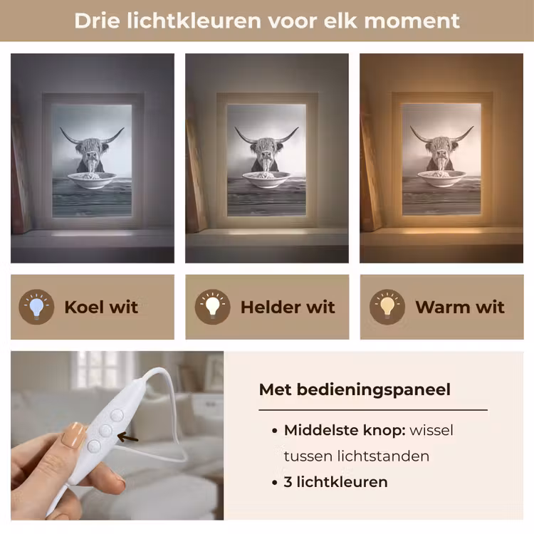 Schotse Hooglander - Spaghetti - Dieren - Zwart wit Light Box met kabel (Tafellamp) klein -USP_lichtkleurNL
