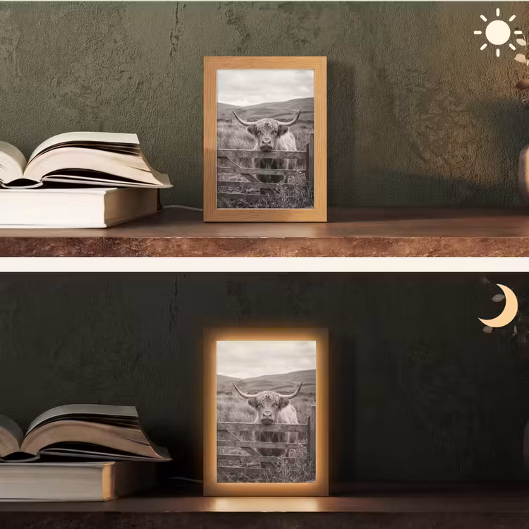 Schotse hooglander - Zwart - Wit - Hout Light Box met kabel (Tafellamp) klein -sfeer3