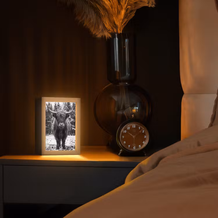 Schotse hooglander - Zwart - Wit - Sneeuwvlokken Light Box met kabel (Tafellamp) klein -sfeer1